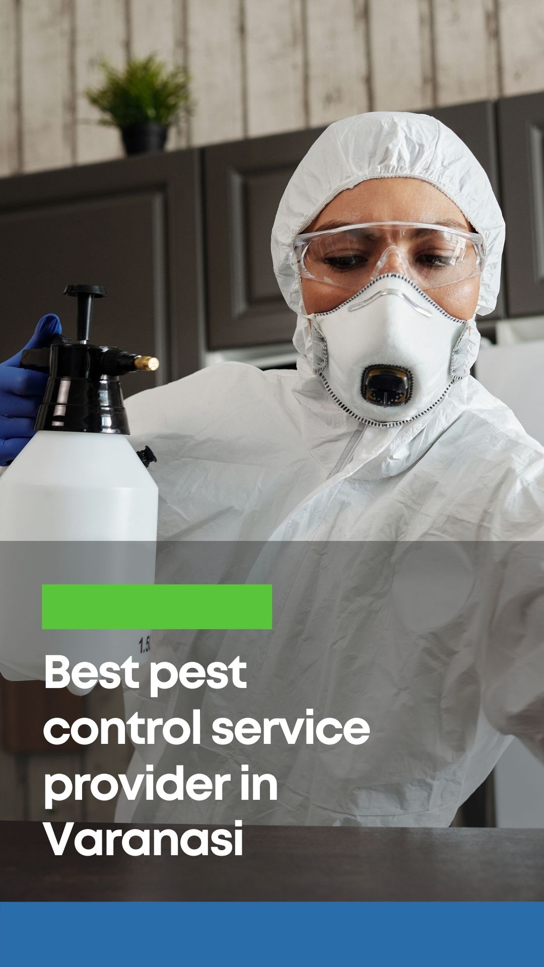 Best pest control service varanasi