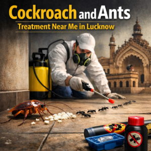 Looking for cockroach and ants treatment near me in Lucknow? Get safe, effective, and affordable pest control services with guaranteed results.