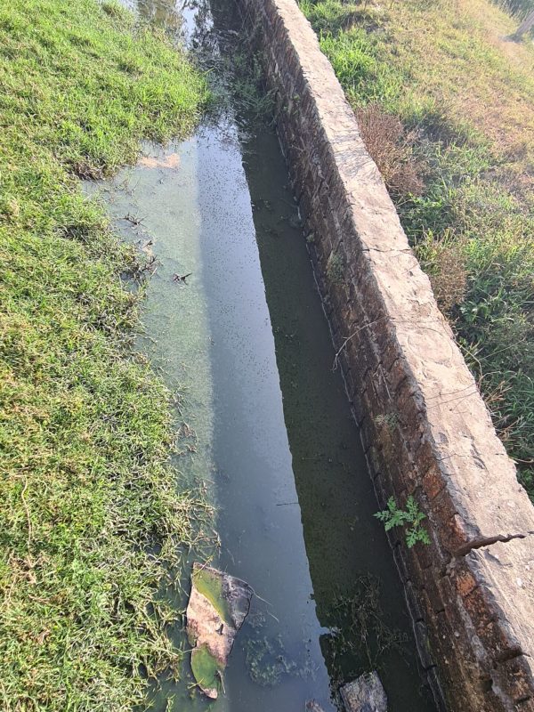 mosquito treatment near me gallery