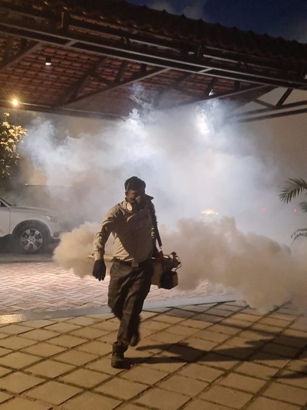 mosquito treatment near me gallery