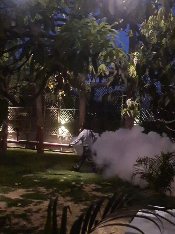 mosquito treatment near me gallery