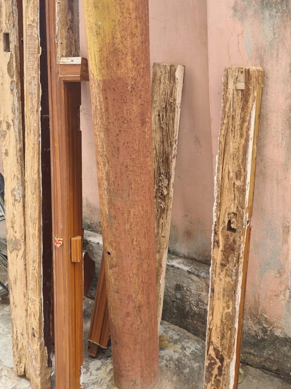 Professional termite treatment service in progress gallery