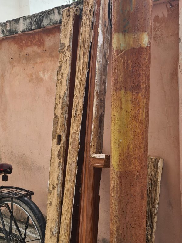 Professional termite treatment service in progress gallery