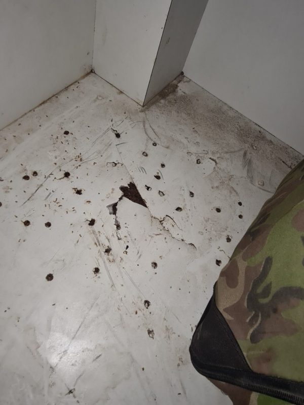 Professional termite treatment service in progress gallery