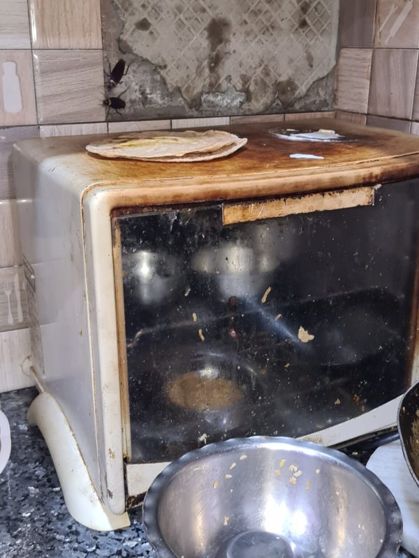 Professional termite treatment service in progress gallery