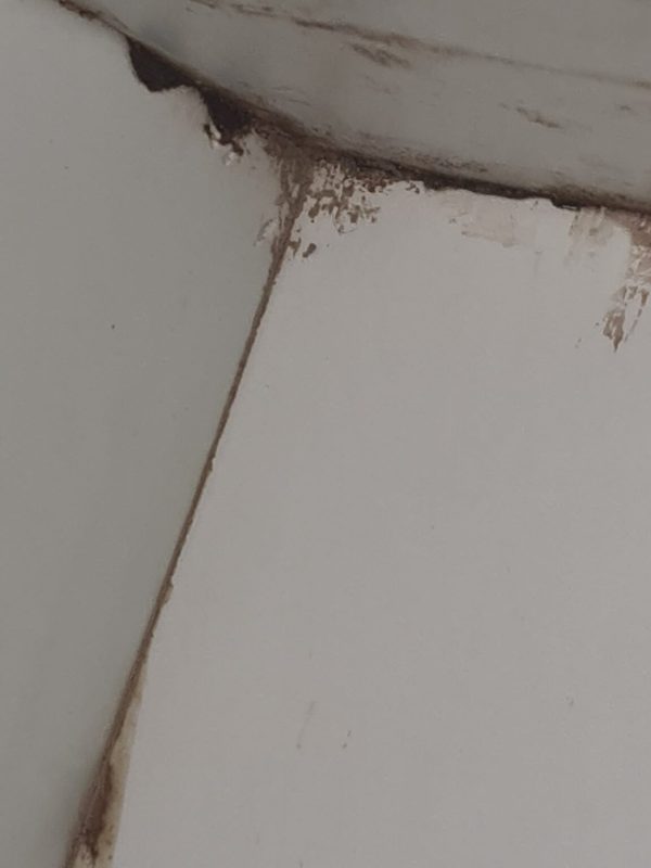 Professional termite treatment service in progress gallery