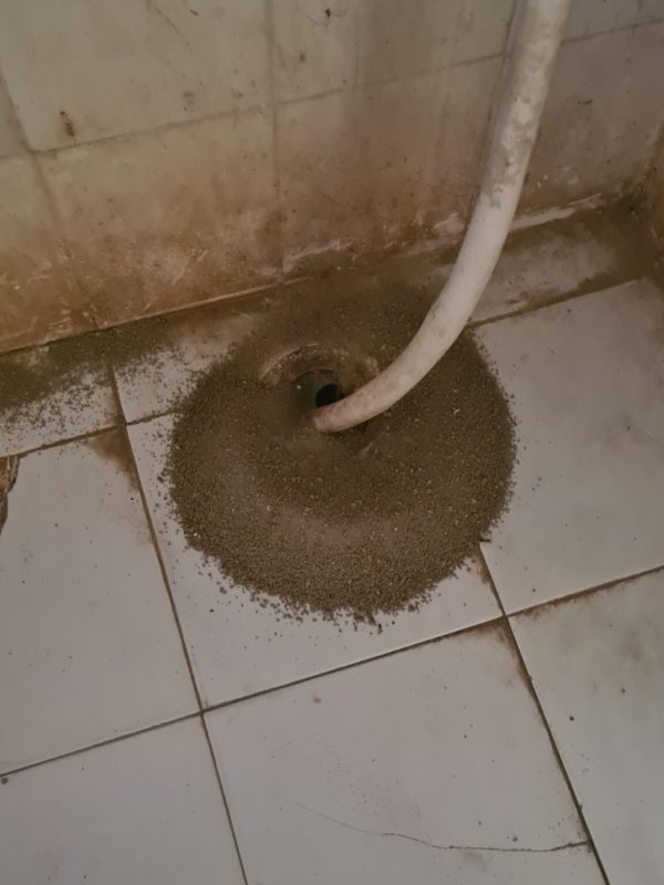 Professional termite treatment service in progress gallery