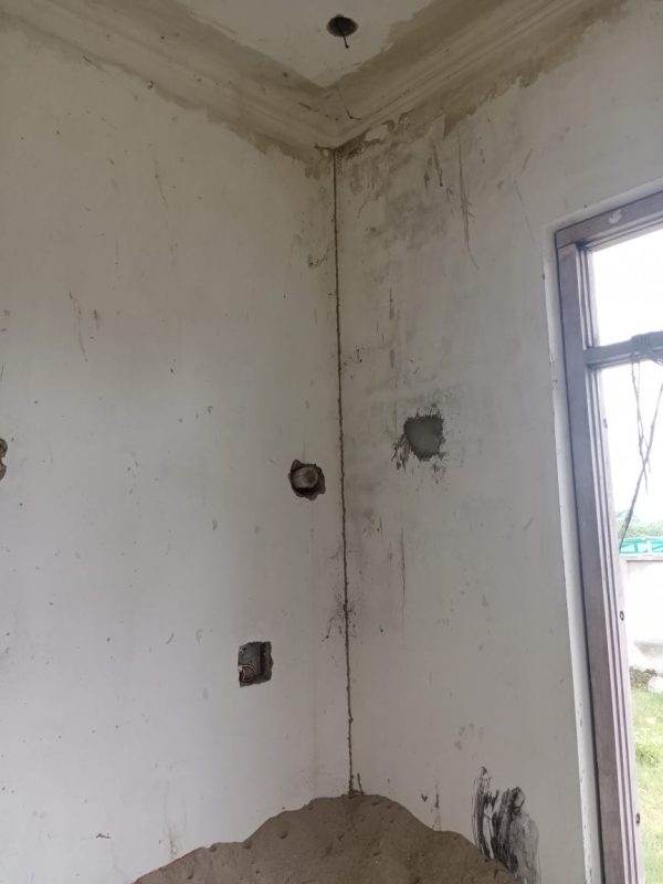 Professional termite treatment service in progress gallery