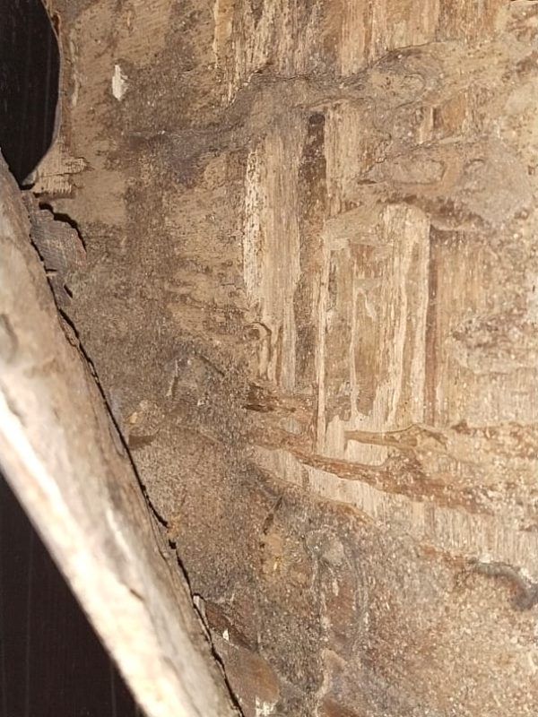 Professional termite treatment service in progress gallery