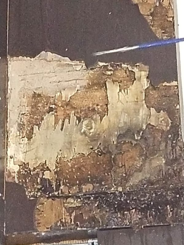 Professional termite treatment service in progress gallery