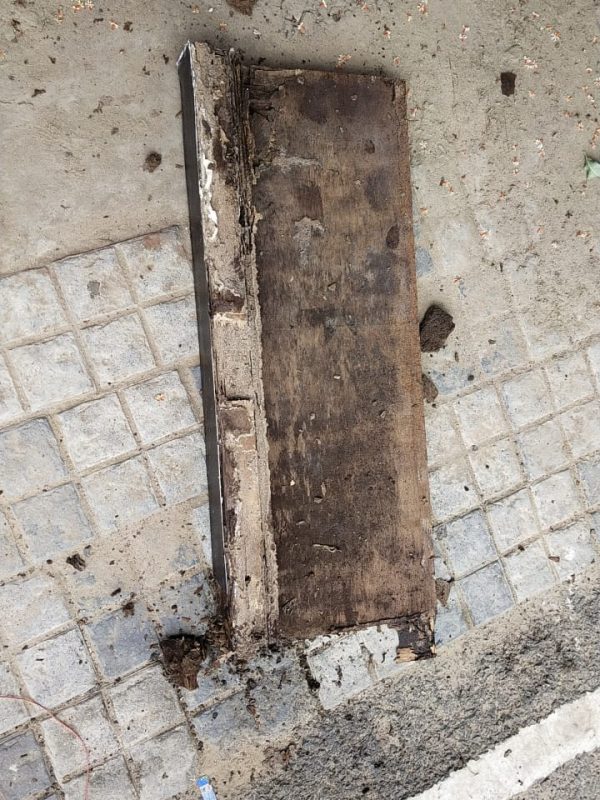 Professional termite treatment service in progress gallery