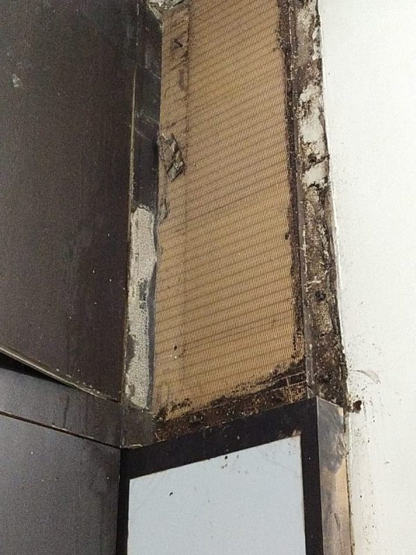 Professional termite treatment service in progress gallery