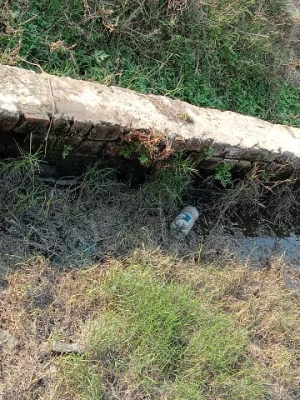 mosquito treatment near me gallery