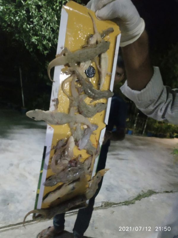 est control expert performing sanitization service gallery