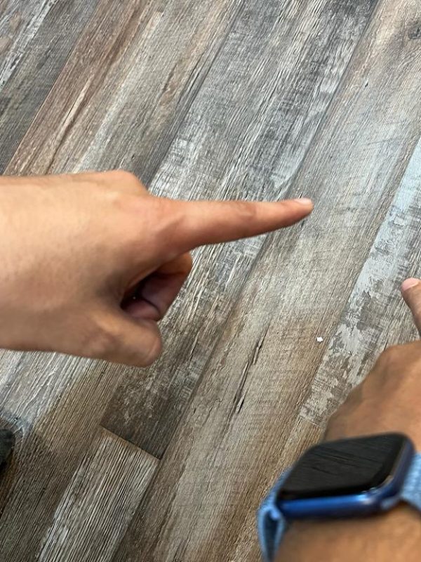 Professional termite treatment service in progress gallery