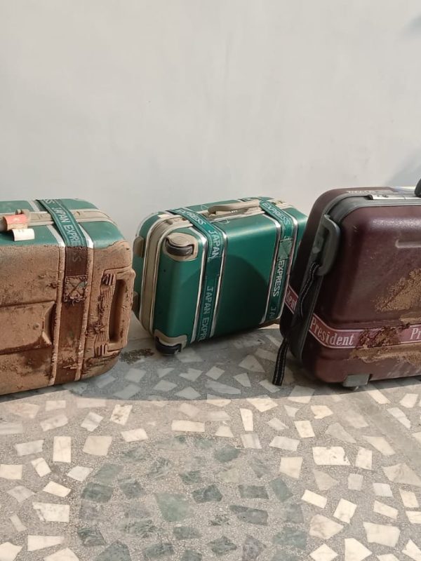 Professional termite treatment service in progress gallery